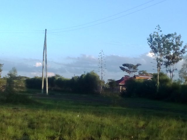 Thika Road Plots