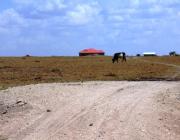 Kitengela - Kisaju Plots For Sale